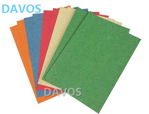 Dermatoglyph Paper Dermatoglyph Paper